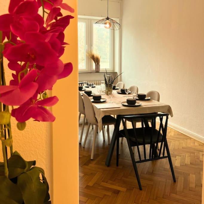 Gemuetliche Rheinblick Residenz Appartement Koblenz  Buitenkant foto