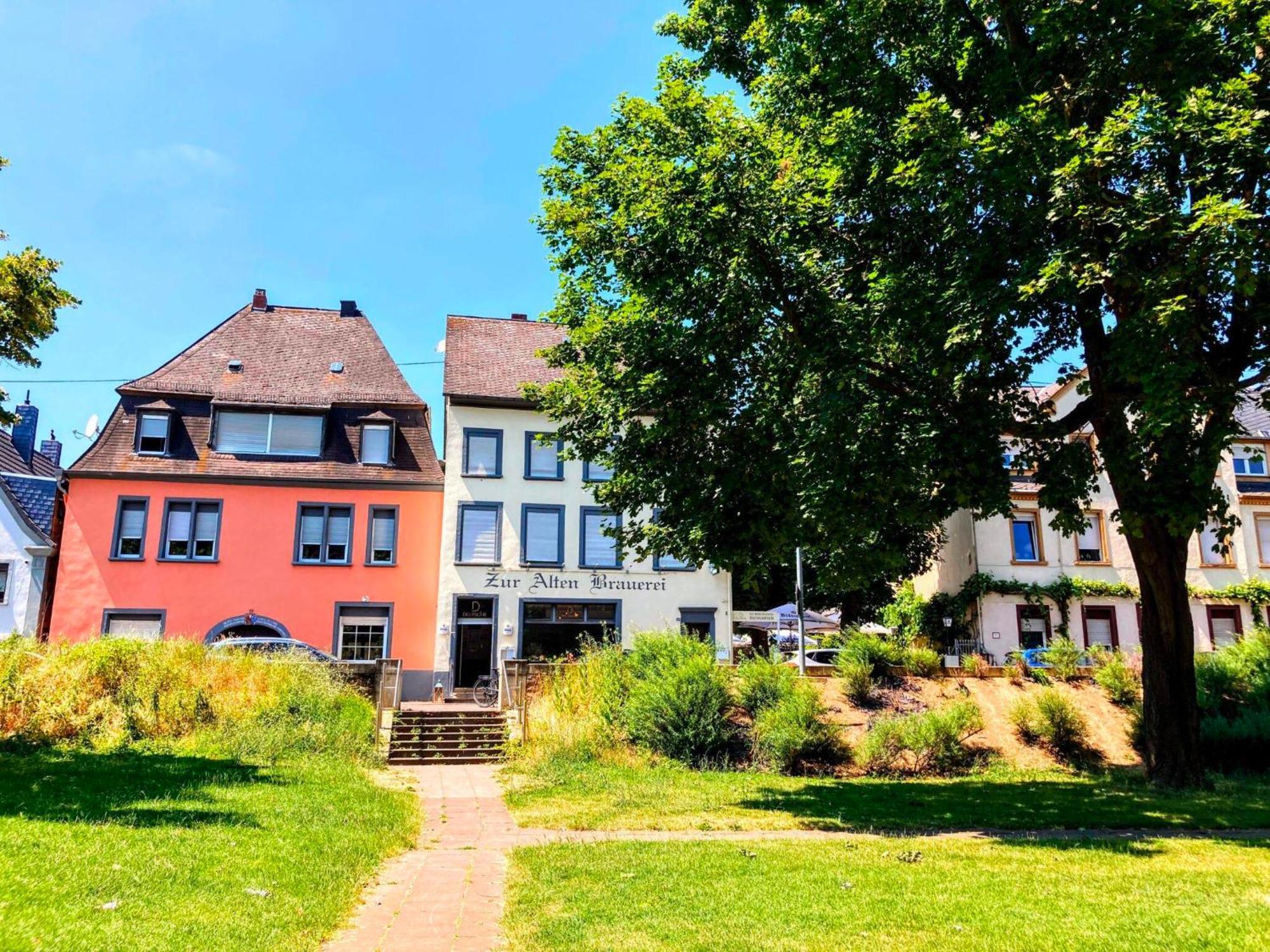 Gemuetliche Rheinblick Residenz Appartement Koblenz  Buitenkant foto